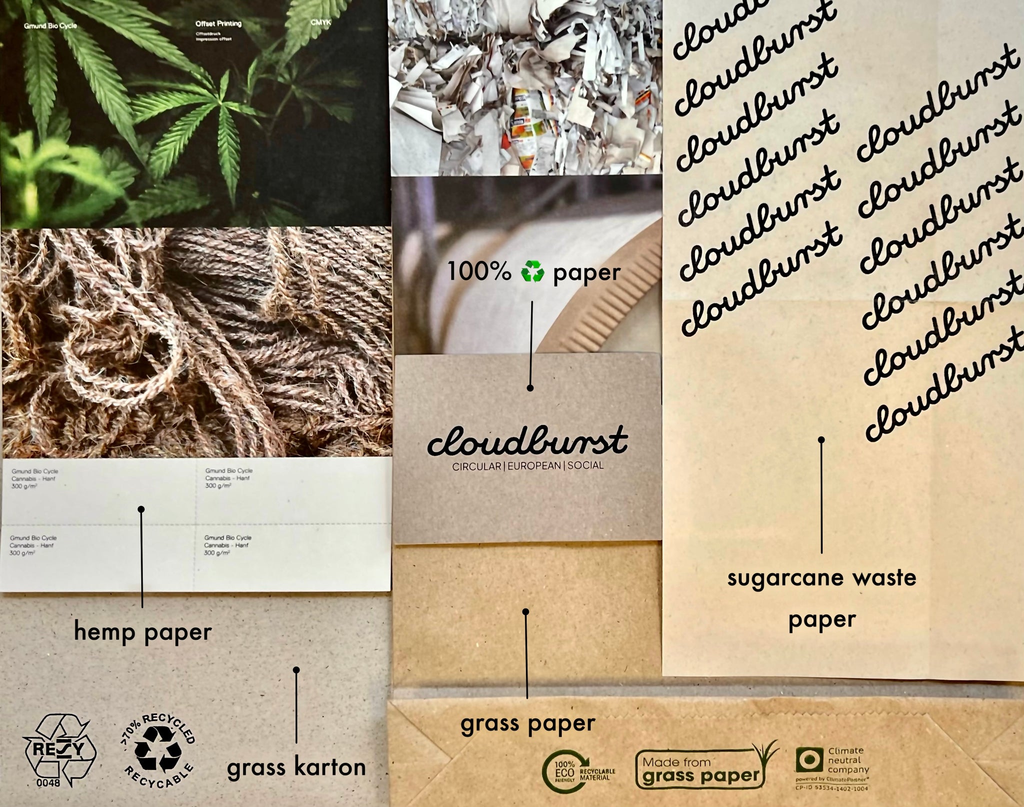 our [tree-free][circular] packaging design