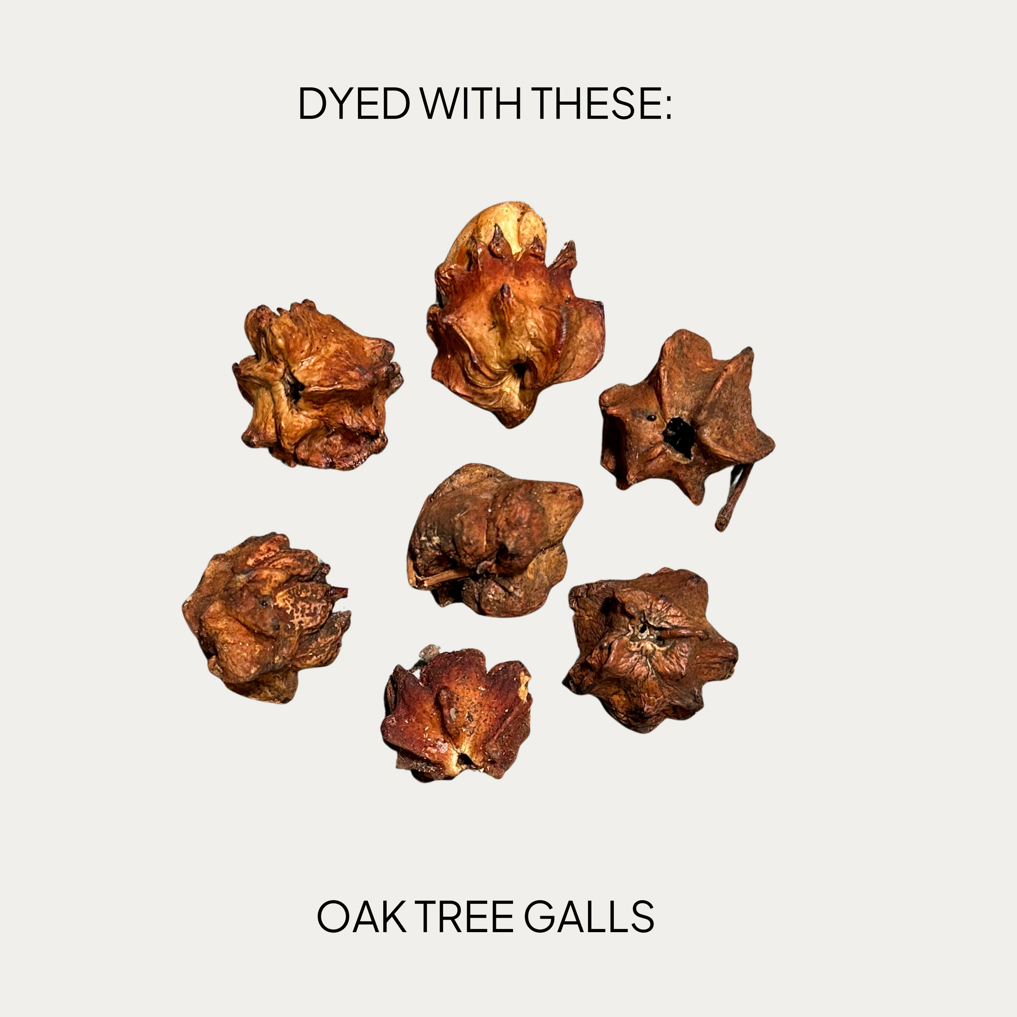 OVERSIZED | oak